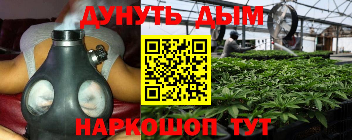 Бошки Шишки Ganja  Конопля сатива  Чапаевск  Бошки Шишки гибрид  Вход с VPN  Конопля THC 21% 